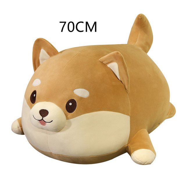 70cm fat shiba