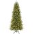 6.5' Slim Fraser Fir with 350 Clear Lights